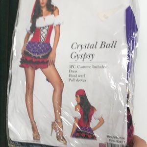 Crystal Ball Gypsy Costume